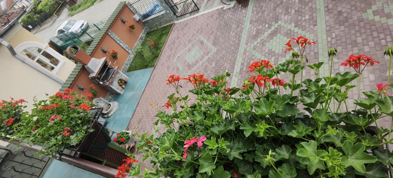 Casa Cizi Hotel Călimăneşti Exterior foto