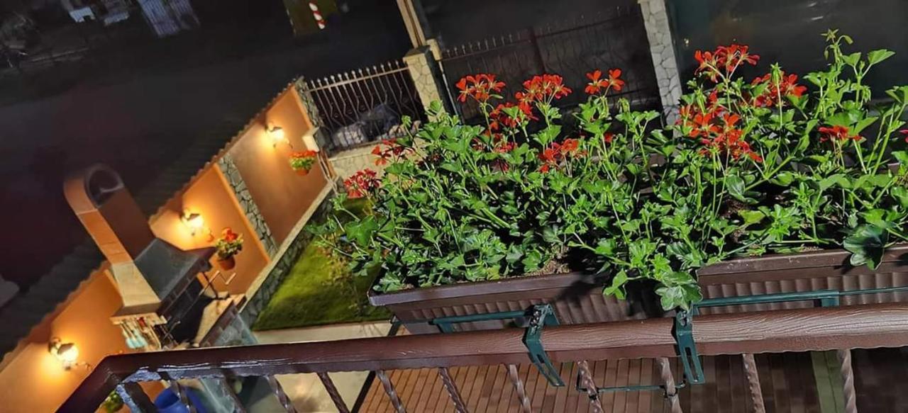 Casa Cizi Hotel Călimăneşti Exterior foto