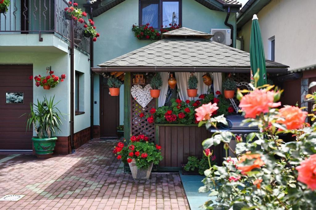 Casa Cizi Hotel Călimăneşti Exterior foto